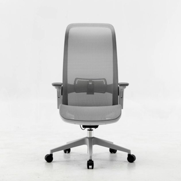 Silla Ergonómica SERIE S - Comodidad y Diseño en Mesh Gris